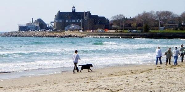 Narragansett beach- people walking and a dog running.