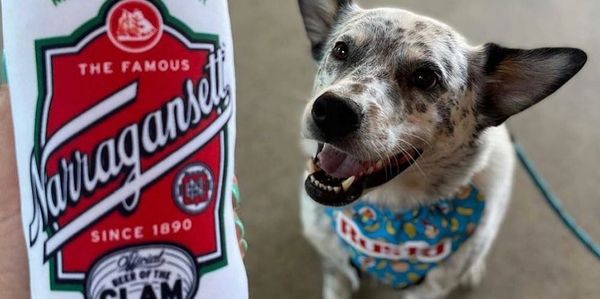 Dog at Nfarragansett Brewery Providence RI.