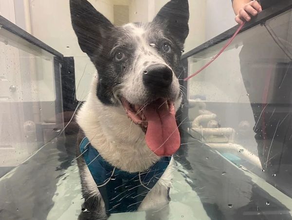 Aqua Therapy