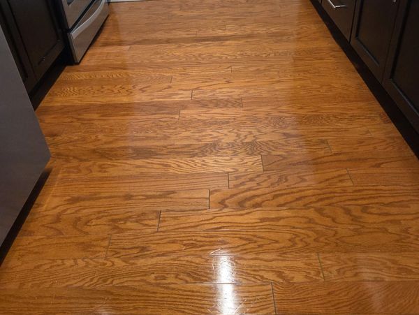 Chemical free steam cleaning Essex County NJ home
