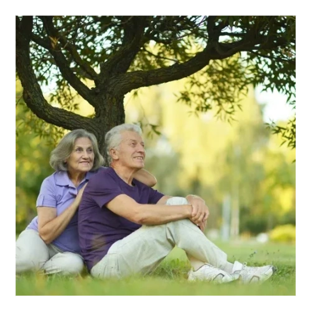 Elderly couple sitting under a tree, enjoying a peaceful moment outdoors.