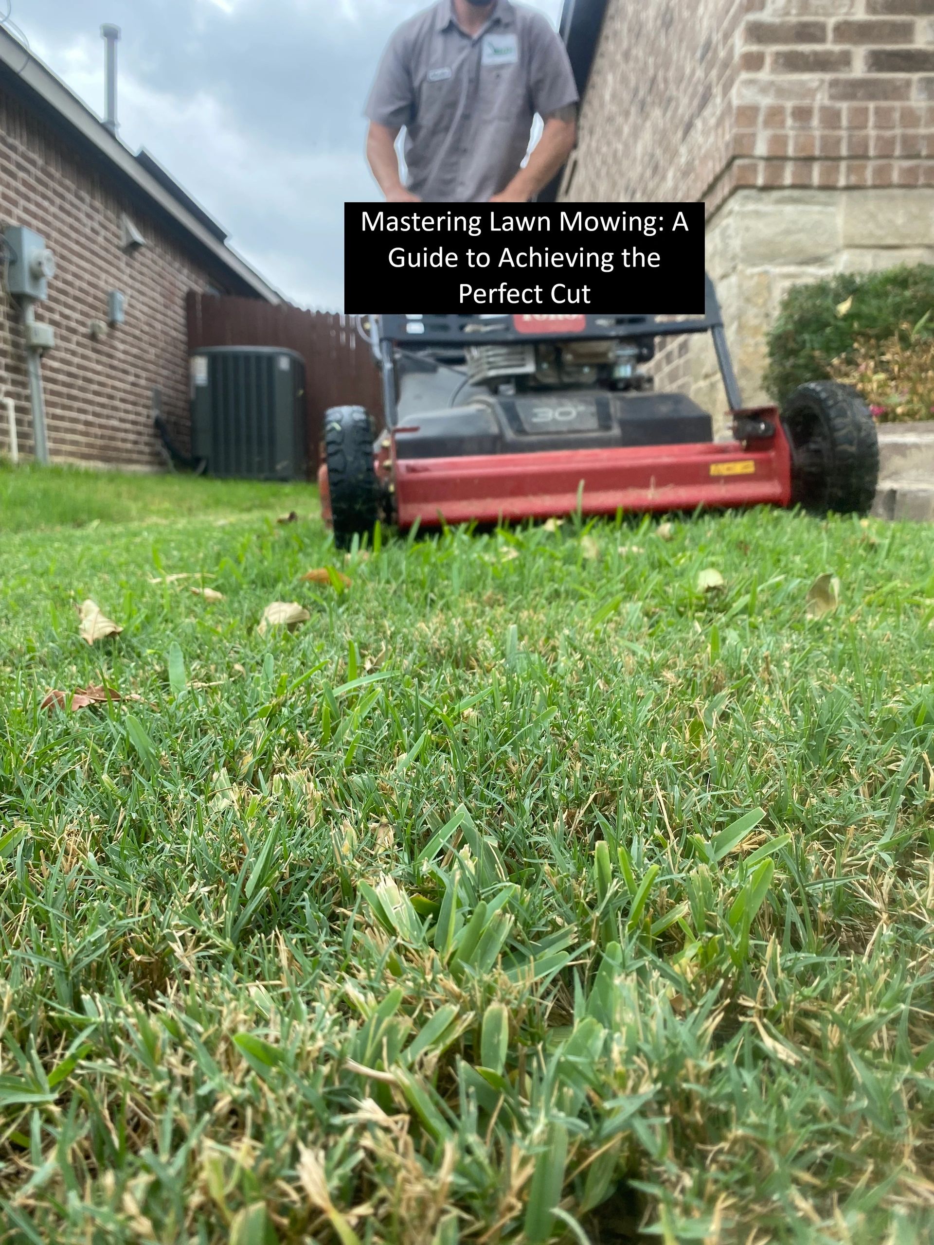 The Tattooists Turf Mastering The Art Of Lawn Mowing Tattoos - 8ec9muk