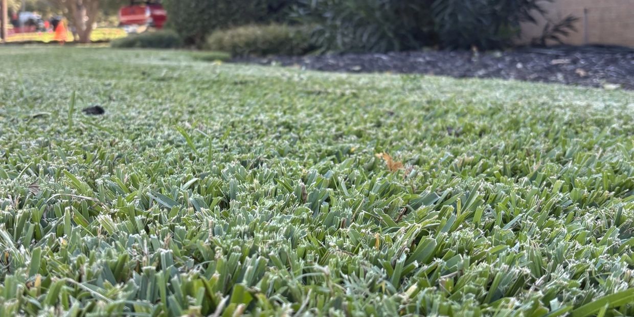 Weed Control and Fertilization Hurst, Texas