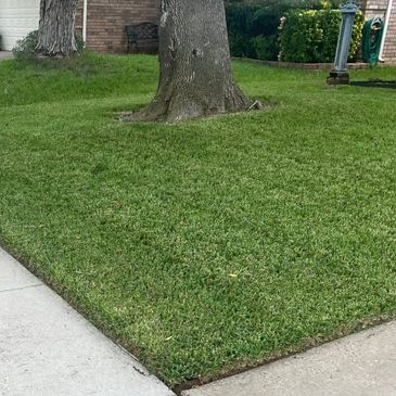 Bdh Lawn Care Lawn Care Landscaping Lawn Service