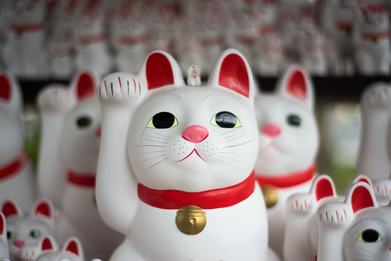 Pidgin Efterforskning Forbavselse Why Every Home Should Have A Lucky Cat
