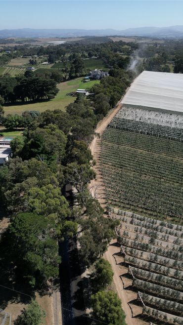 Aerial view of farmland with greenhouses and tree-lined road.