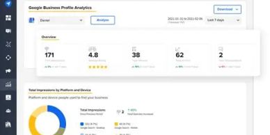 Google Business Profile Analytics dashboard showing key performance metrics and impressions.