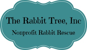 The Rabbit Tree