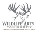 Martin's Taxidermy