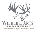 Martin's Taxidermy