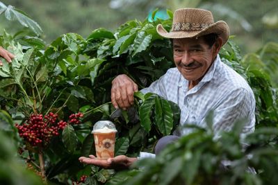 Coffee farmer in front of a coffee plan with an iced coffee. 