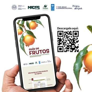 Libro Guia de frutos del Area Metropolitana de Asunción