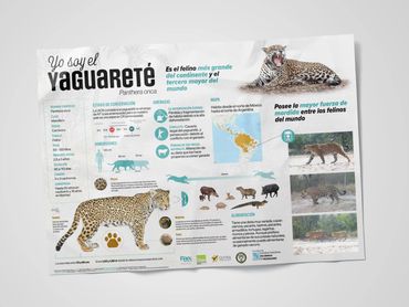 Afiche infográfico sobre el Jaguar