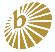 BRIGHTEN CORP.