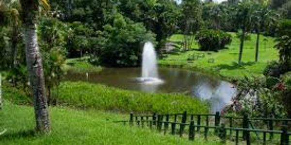 Northern Botanical Garden