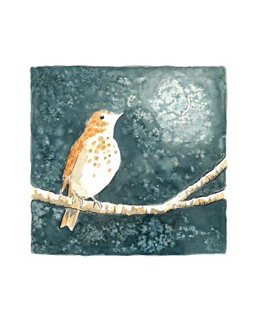 Watercolor painting of a bird on a branch at night.