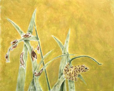 Illustration of a frog on a plant with snails nearby.
