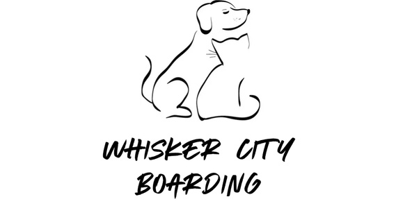 Whisker City Boarding