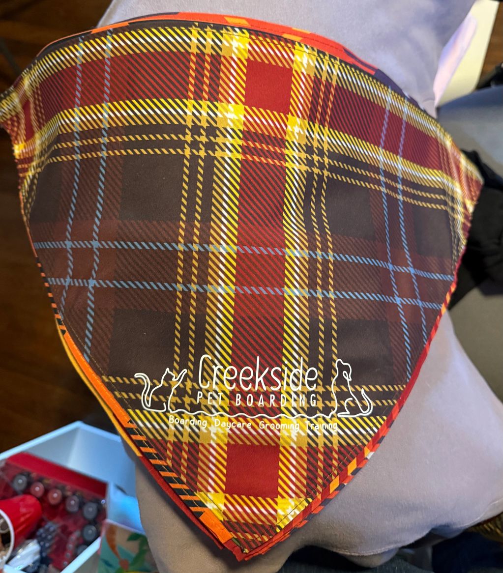 Plaid pet bandana from Creekside Pet Boarding in red, yellow, and black.