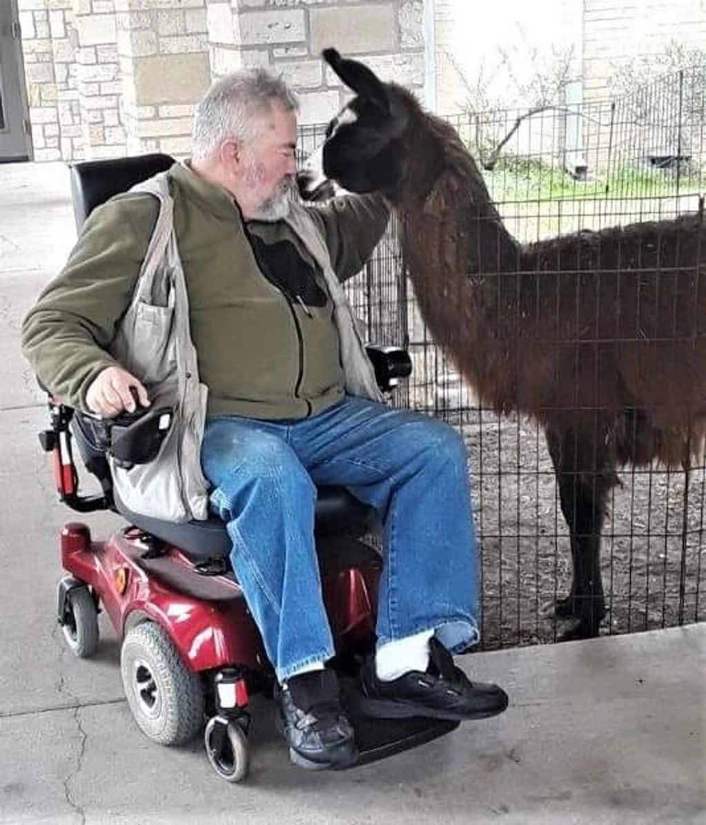 Nursing home resident having a moment with our hand raised orphaned 'sweet & sassy' llama, Colt. (Or