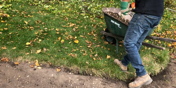 Landscaper team member filling wheelbarrow