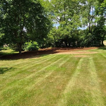 Lawn mowing, Grass