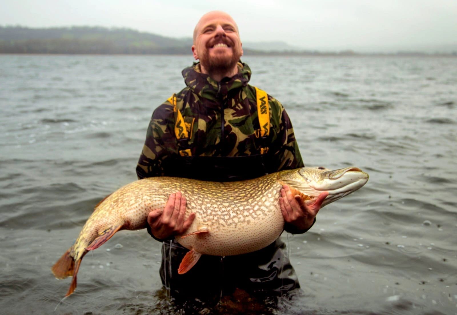Predator Deadbaits