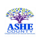Ashe DSS