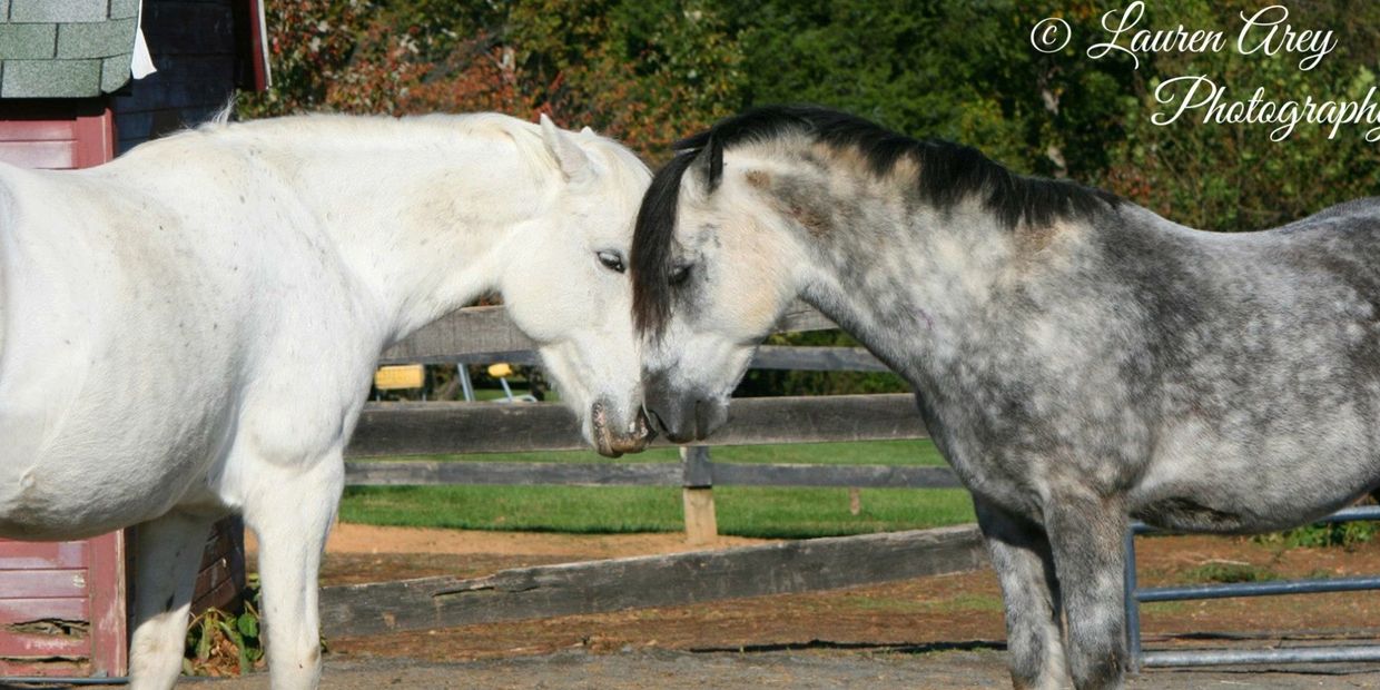 Piero and Lily touching faces