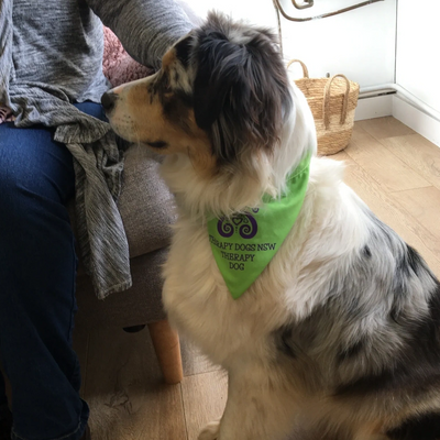 Canine Assisted Therapy Canine Assisted Therapy