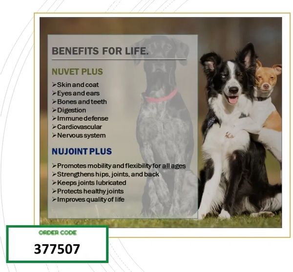 Benefits for life
NuVet Plus addresses skin and coat, eyes and ears, bones and teeth, digestion, imm