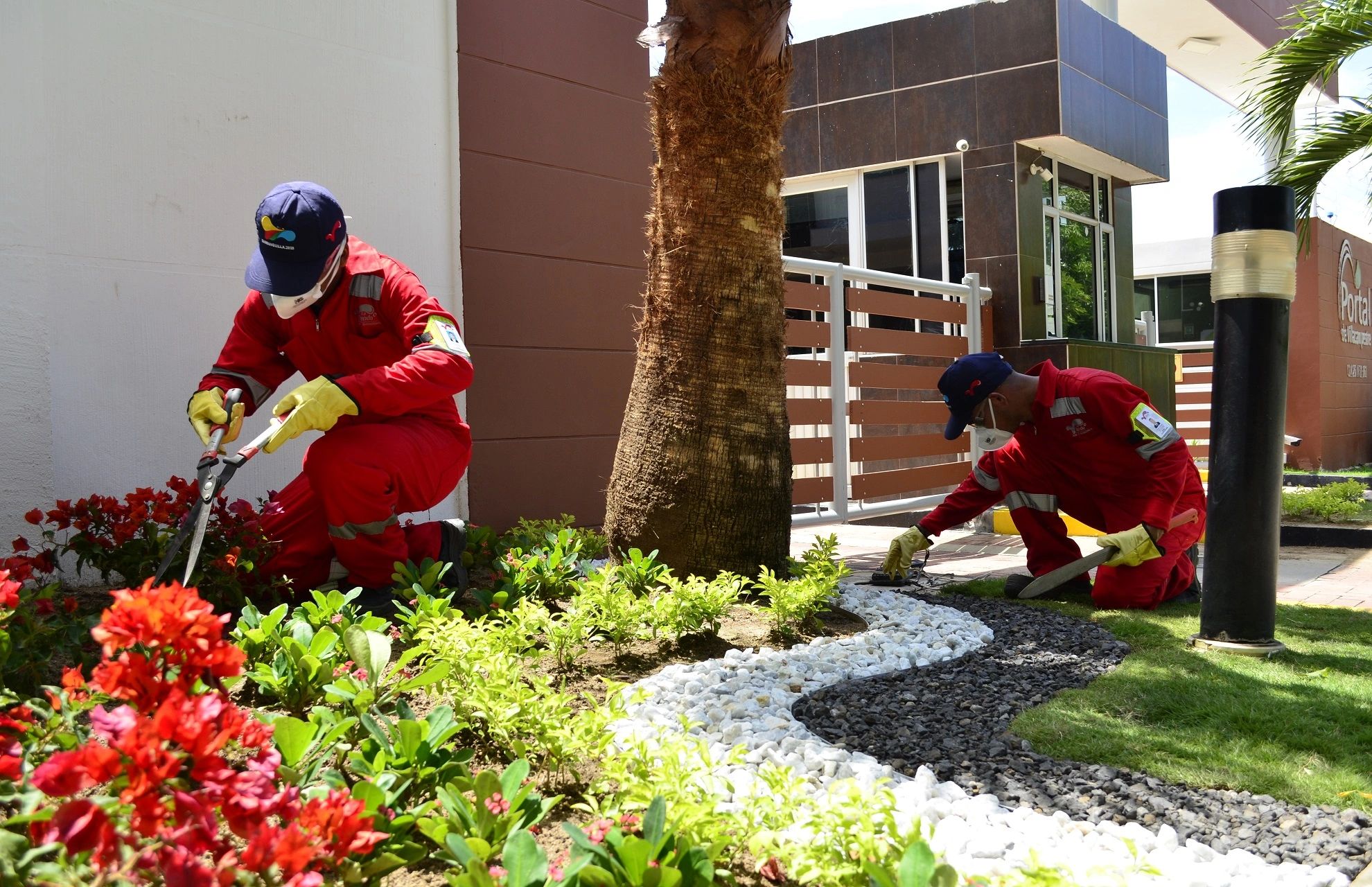 Home [aseolavianda.co]