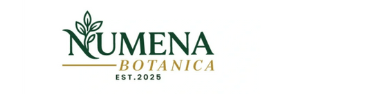 Innovation in Botanical Skincare