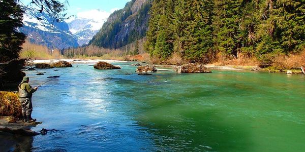 The Skeena River is the second-longest river entirely within British Columbia, Canada[3] (after the 