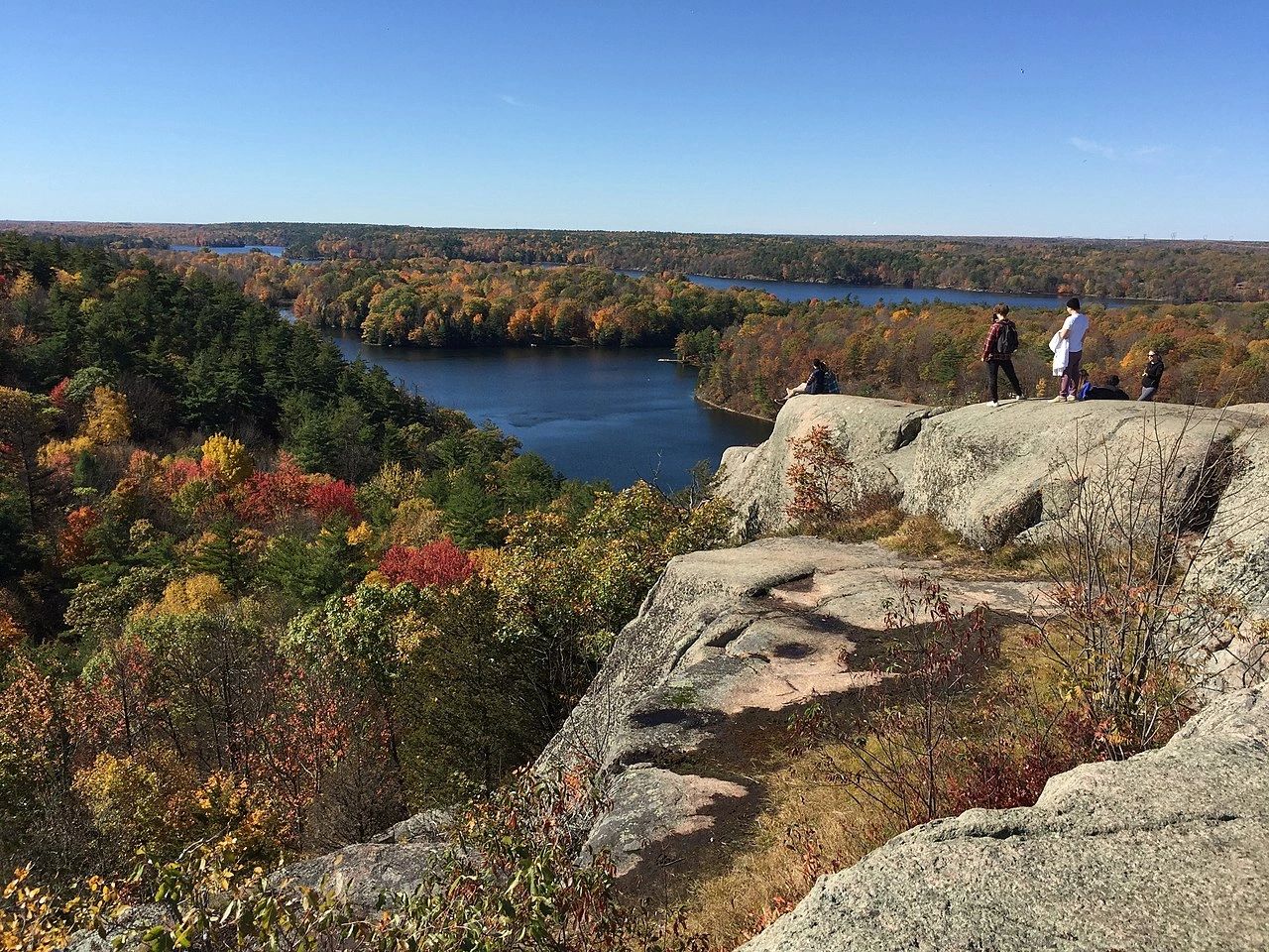 altohsrcitizenresearch.ca