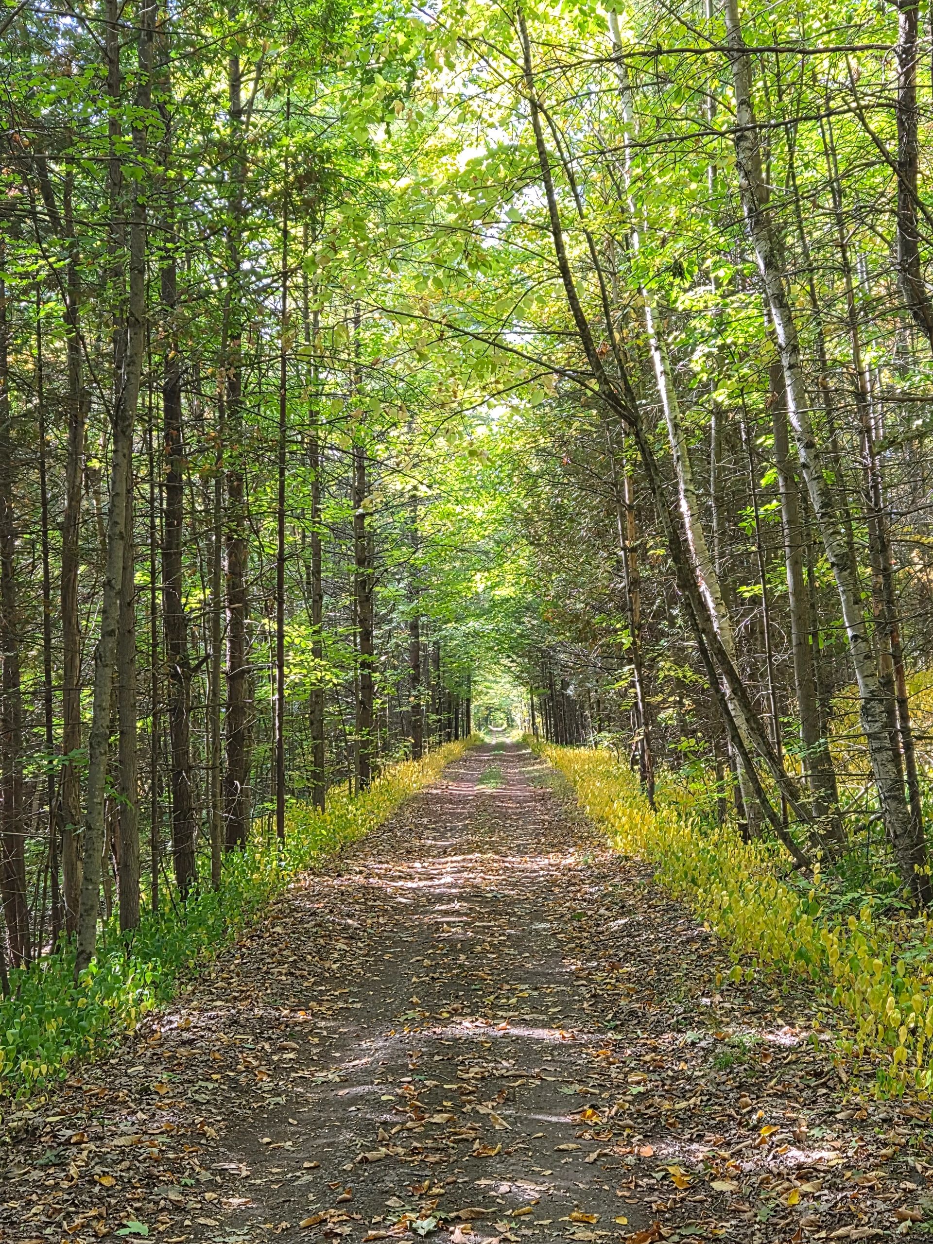 altohsrcitizenresearch.ca