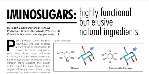 Scientific article on iminosugars as natural, functional ingredients in plants.