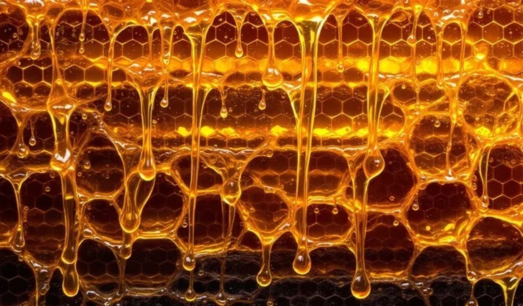 Close-up of honey dripping from a honeycomb.