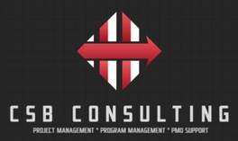 CSB Consulting Groups