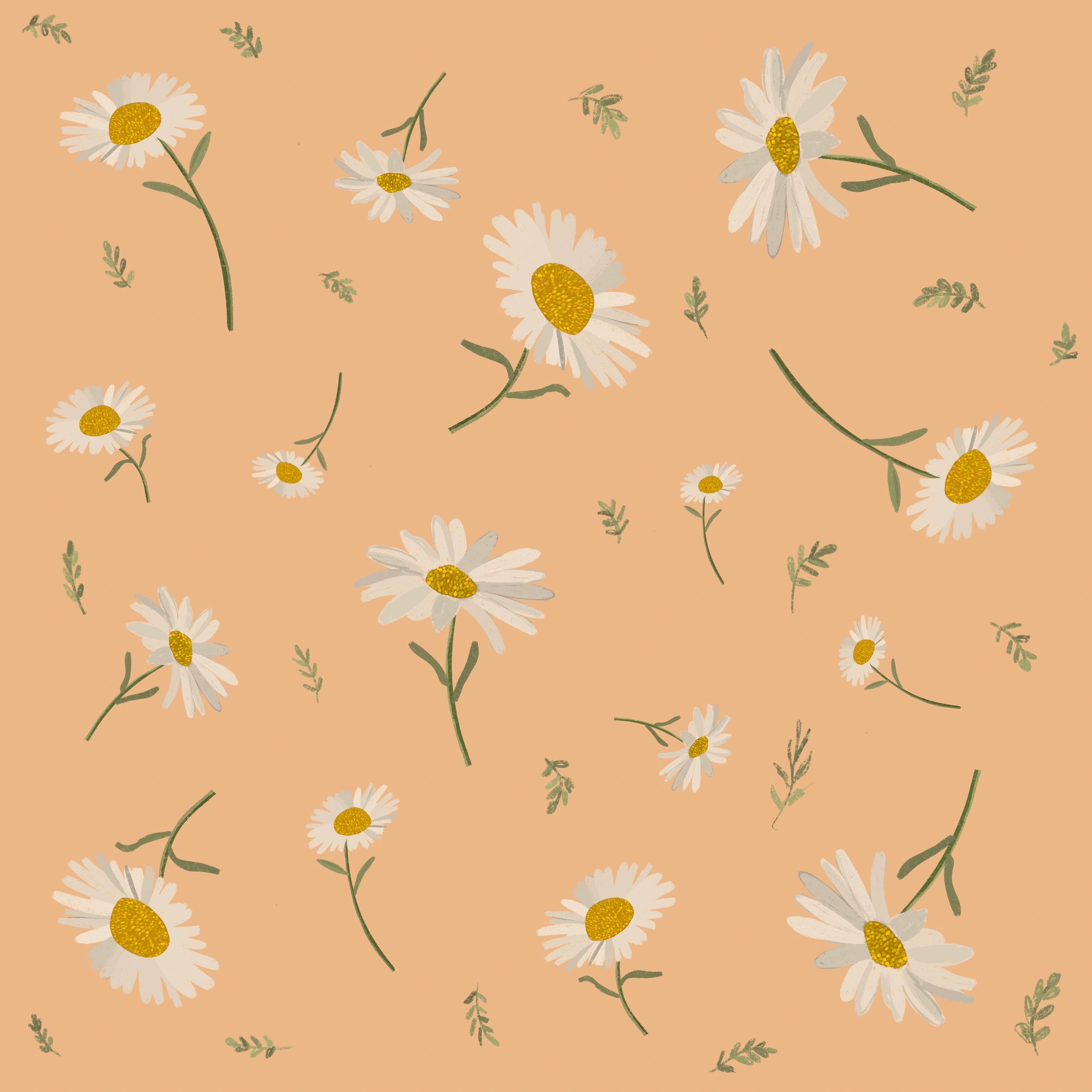 Digital illustration of daisies and leaves floating against a peachy colored backdrop.