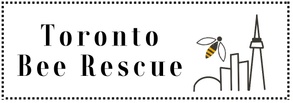 Toronto Bee Rescue