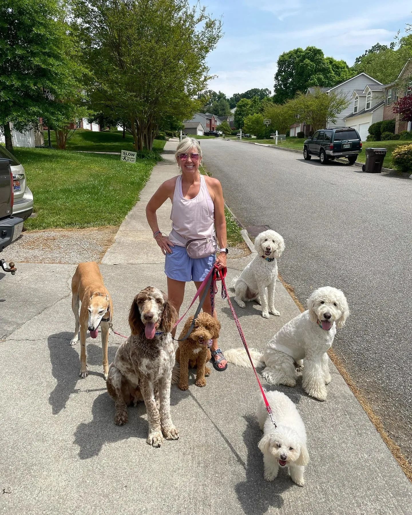 Woof Pack Training Dog Training Knoxville, Tennessee