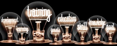 Several light bulbs with words in them that include "development," "learning," growth," "education,"