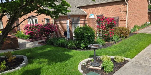 Beautiful front yard with blooming pink roses and a welcoming garden gate.