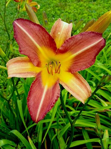 Pink Is The New Black