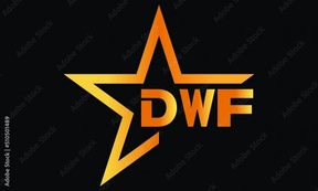 DWF MEDIA NETWORK