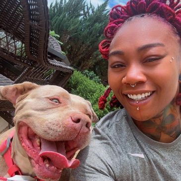 Dilworth Dog Grooming Charlotte Nc: Top Services & Tips