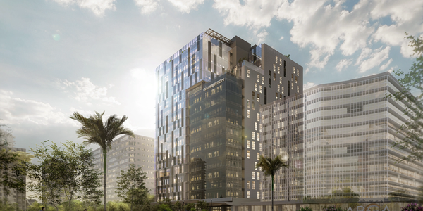Modern glass office buildings with palm trees and moving cars on a sunny day.