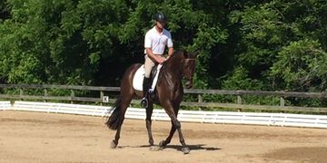 Southeastern Thoroughbred Showcase OTTB TB Dressage Nick Larkin Brookwood Sport Horse Event 