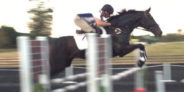Thoroughbred OTTB Jumper Eventer show Jumping southeastern thoroughbred showcase event conyers ga